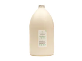 Eucalyptus & Tea Tree Mat Spray - 4L